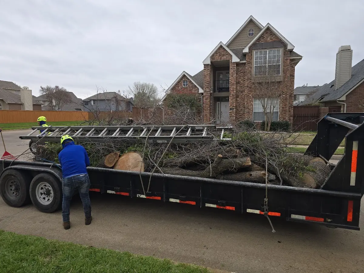 Expert Tree Fertilization with proper safety equipment in Holcomb